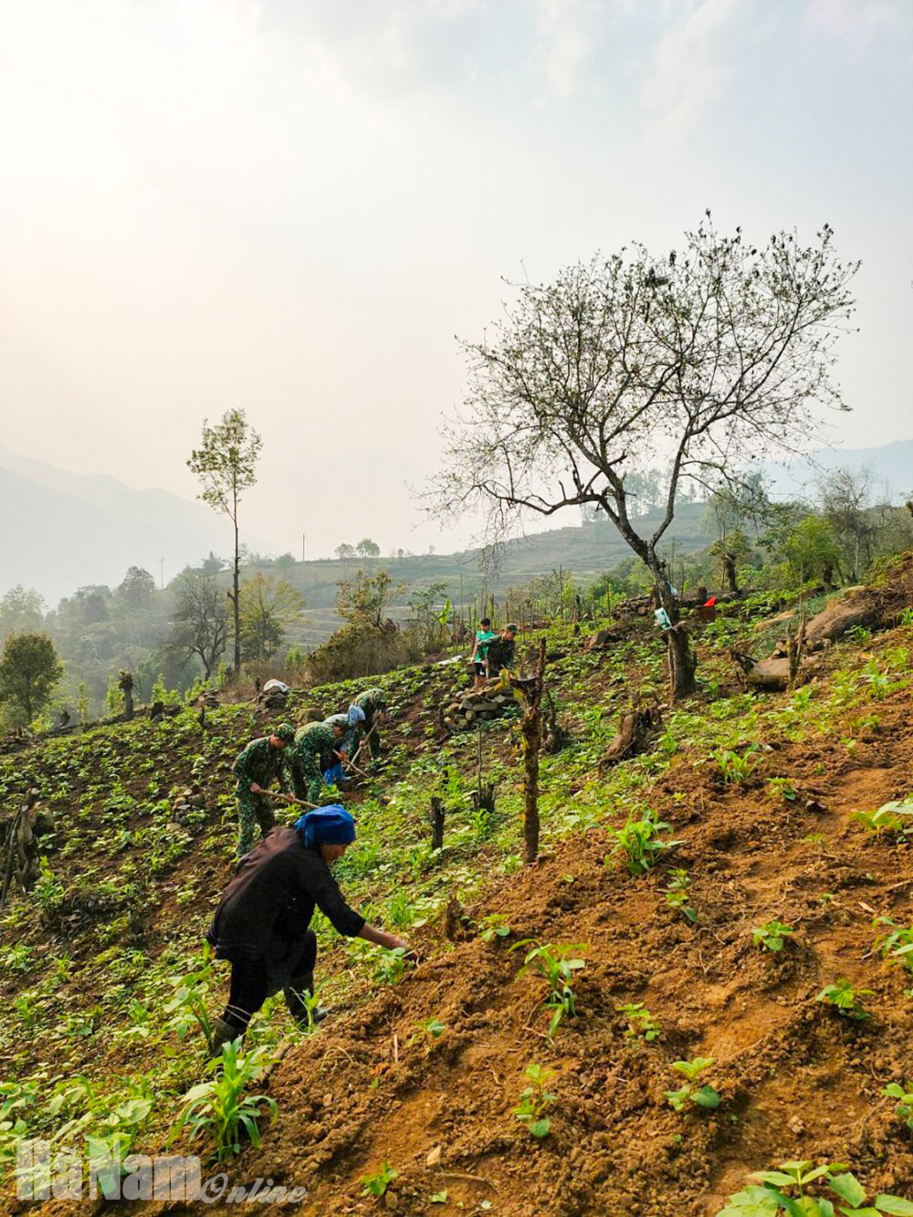 bo doi bien phong y ty gan gui gan bo voi nhan da 56 1
