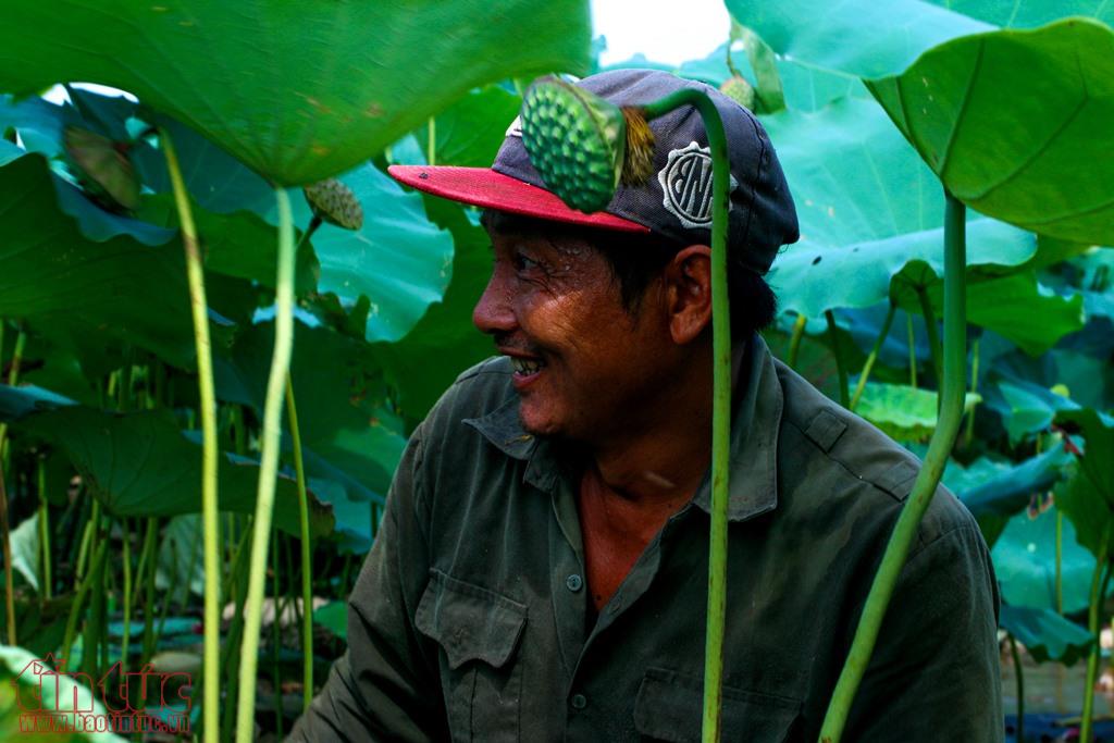 nong dan ha nam boi thu ngay nang rat nho trong se 56 3